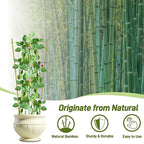 Avalution 10 Pack Bamboo Trellis - Image 3