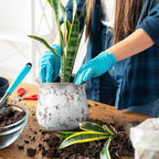 6 Inch Ceramic Plants Pots Vintage Ceramic Flower Planters Crackle Glaze Finish - Image 6