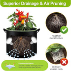 6-Pack 5 Gallon Grow Bags - 300G Heavy Duty Aeration Fabric Pots - Image 3