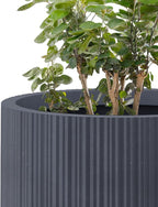 Kante 24 Inch Tall Round Concrete Planter, Large Indoor Outdoor Plant Pots - Image 8