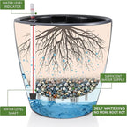 Dexceder 13x12 Self Watering Planter - Image 2