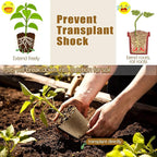 Peat Pots, 102 Pack 3.15 Inch Biodegradable Planting Peat Pots - Image 4