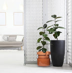 Phoenix Vine 10 Inch Self Watering Planter Pot, Terracotta Clay Pot - Image 8