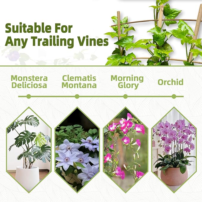 10 Pack 16" Bamboo Trellis for Climbing Plants-Natural Garden Ladder Fan - Image 5