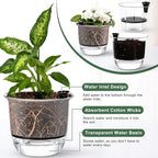 6 Pcs Clear Self Watering Pots for Indoor Outdoor Plants Flowers, 2 Each of 4 - Image 4