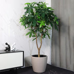 Dexceder 18x17 Self Watering Planter - Image 6