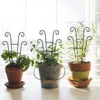 Coomin Small Plant Trellis for Climbing Plants Indoor, 14.5in Metal House Plant - Image 5