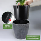 Dexceder 15x14 Self Watering Planter - Image 4