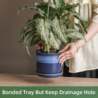 5.8 Inch Plant Pot: Ceramic Planter - Image 3