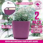 GARDENIX DECOR 5" Self Watering pots - Image 5