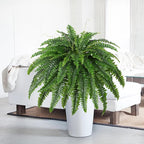 Artificial Boston Fern Bush- Set of 2 Large Artificial Ferns - Image 4