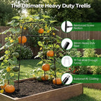 Garden Arch Trellis for Climbing Plants, Rustproof Steel Tunnel Support for - Image 3