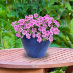 Sunnydaze Large Ceramic Plant Pot - Image 8