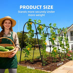 Cucumber Trellis for Raised Bed, U-Shape Garden Arch Metal Support for Climbing - Image 2
