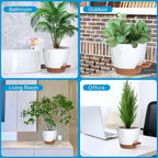 5-Pack Plant Pots with Drainage - Image 7