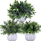 Winlyn 3 Pcs Faux Potted Plants Set by Winlyn