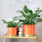 Gepege Peach Indoor Plant Pots for Plants, Ceramic Planter - Image 5