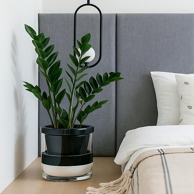 D'vine Dev 10 Inch Design Self Watering Planter - Image 4