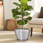 Pot for Plants 8 Inch - Image 2