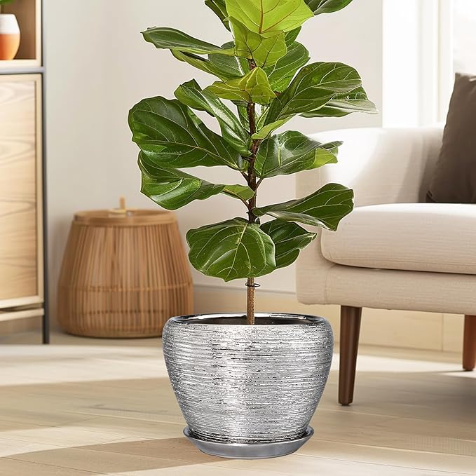 Pot for Plants 8 Inch - Image 2