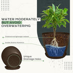 Utopia Home - Plant Pots Indoor - 7/6.6/6/5.3/4.8 Inches Home Decor Flower Pots - Image 3
