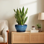 Ceramic Pots for Plants - Image 4
