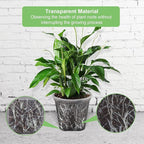 GREENPARA Transparent Plastic Garden Pots Planter - Image 4