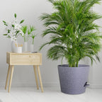 12 inch Large Self Watering Pots - Image 7