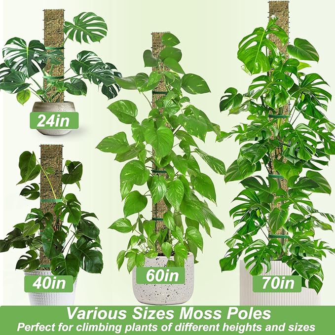60"/40"/24" Metal Moss Pole, D Shape Sphagnum Moss Pole, Moss Poles - Image 7