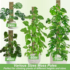 40" Metal Moss Pole, D Shape Sphagnum Moss Pole, Moss Poles - Image 5