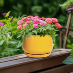G EPGardening Ceramic Plant Pot - Image 4