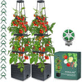 2 Pack Raised Garden Bed Planter Box by MYMULIKEHOME