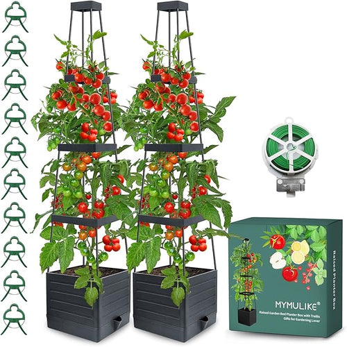 2 Pack Raised Garden Bed Planter Box by MYMULIKEHOME
