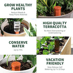Large Terracotta Watering Spikes - Image 7
