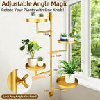 Rotating Window Plant Shelves - Image 2
