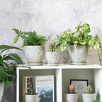 6 Inch Ceramic Planter Pots - Image 5