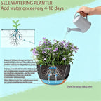 Set of 2-8 Inch Self Watering Hanging Planters - Image 9