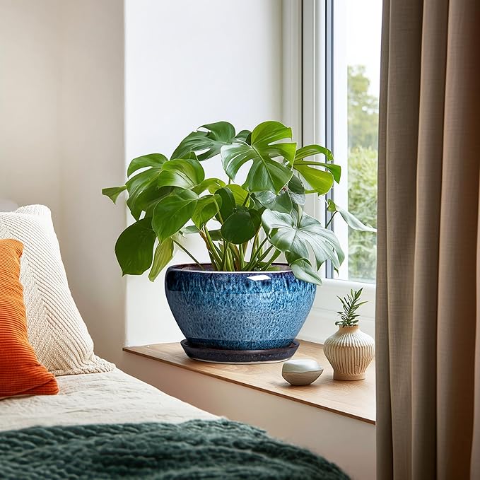 Ceramic Pots for Plants - Image 6