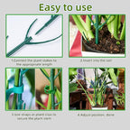 10 Pack Adjustable Plant Support Stakes, Stackable Plant Support Pole - Image 7