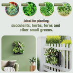 Wall-Mounted Vertical Garden Planter – Ready-to-Use Indoor Wall Planter - Image 3