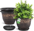 Plastic-Plant-Flower-Planters-16 Inch by Pottiffe