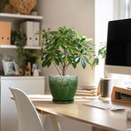 6 Inch Plant Pot - Image 5