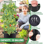 ANPHSIN 3 Sets Tomato Cages - Image 3