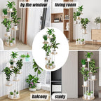 Plant Stand Indoor 6 Tier 9 Potted Multiple Flower Pot Holder - Image 6