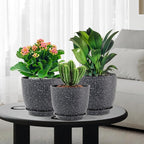 Plant Pots 10/9/8 inch, Flower Pots - Image 7
