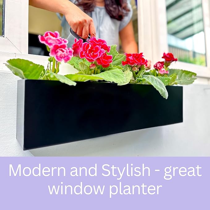 LaLaGreen Wall Planters Carbon Steel Black Metal Hanging Flower Pot - Image 3