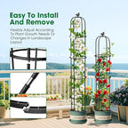 6.2ft Garden Obelisk Trellis for Climbing Plants Rustproof Metal Pipe - Image 3