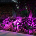 T-SUN LED Solar Spotlights, Waterproof Outdoor Security Landscape Lamps - Image 7