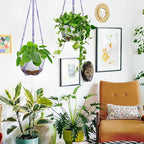 2 Pack Hanging Planters Set, 10 Inch Indoor Outdoor Hanging Plant Pot Basket - Image 2