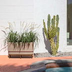 Veradek Demi Series Raised Long Planter - Image 4
